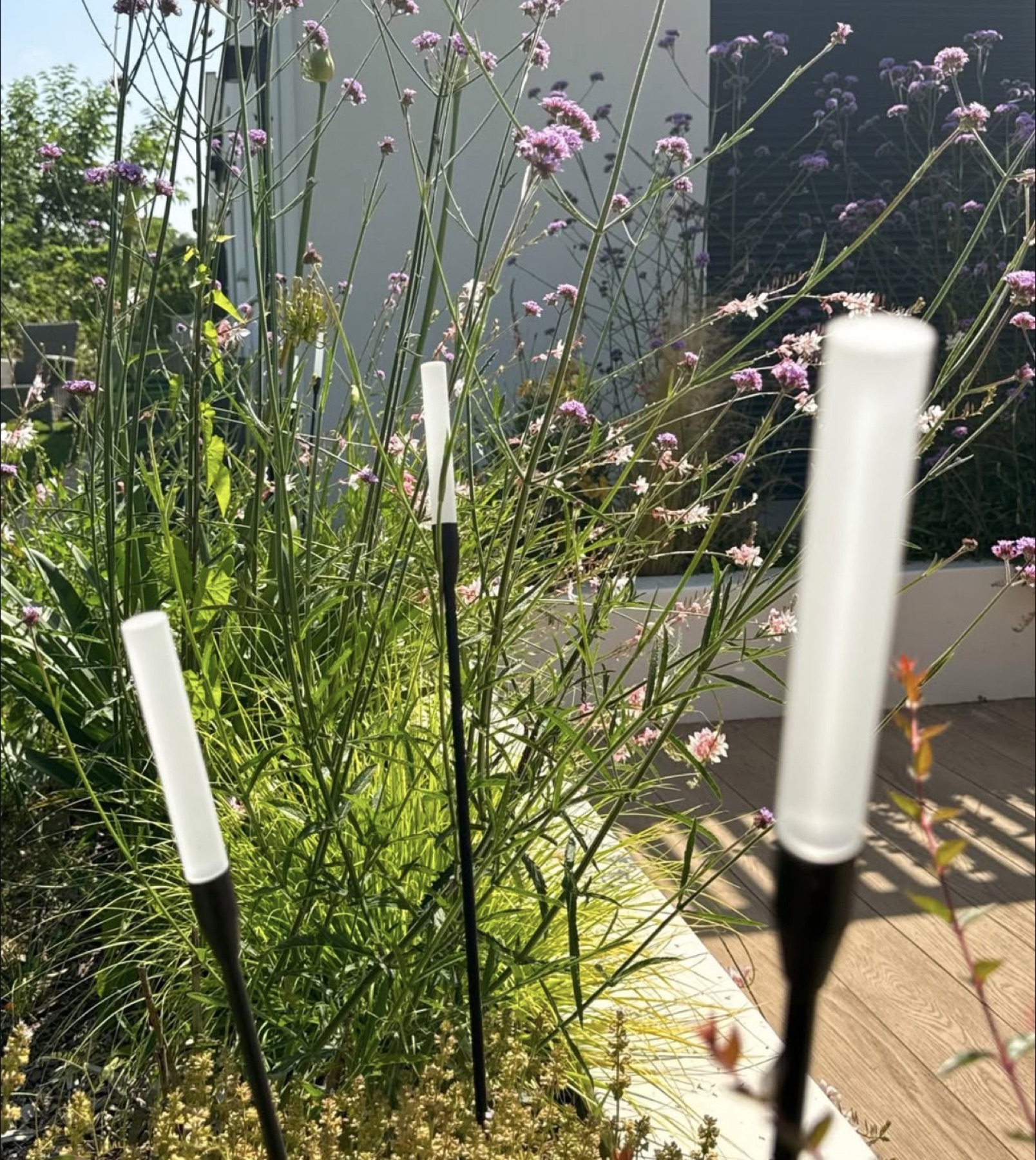 Balises lumineuses dans un massif